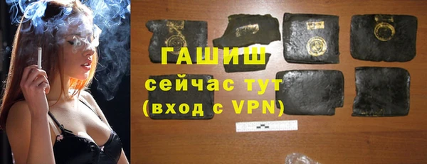 гашик Вяземский