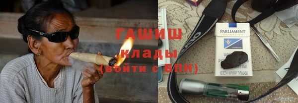 гашик Вяземский
