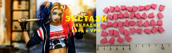 гашик Вяземский