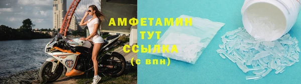 гашик Вяземский