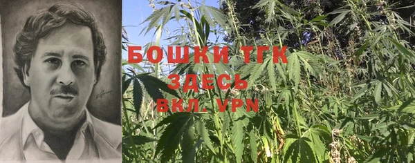 гашик Вяземский