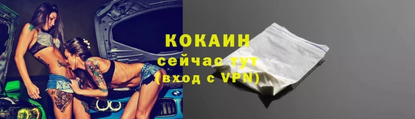 гашик Вяземский