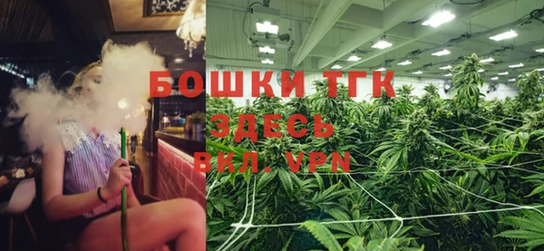 гашик Вяземский