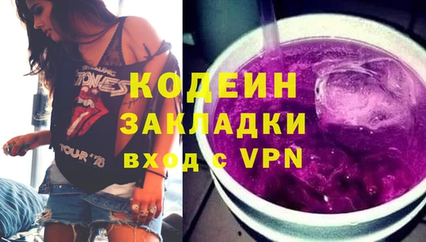 гашик Вяземский