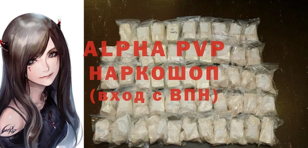 гашик Вяземский