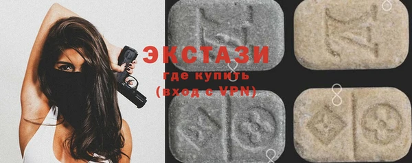 гашик Вяземский